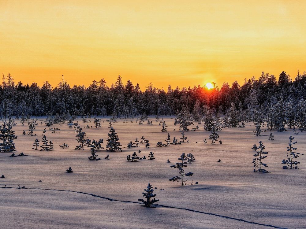 Photograph by Alexandr Klyuev