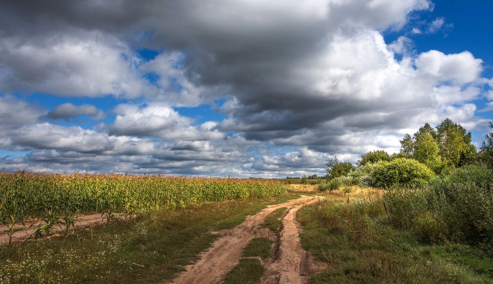 Photograph by Владимир Безбородов
