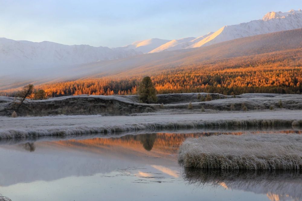 Photograph by Елена Данченко