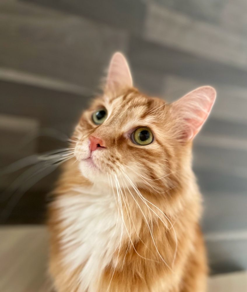 Photograph by Светлана Медведева