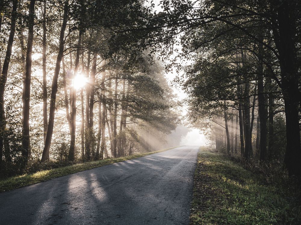 Photograph by Сергей Коляда