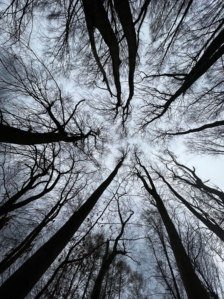 Фотография автора Safeen Saber