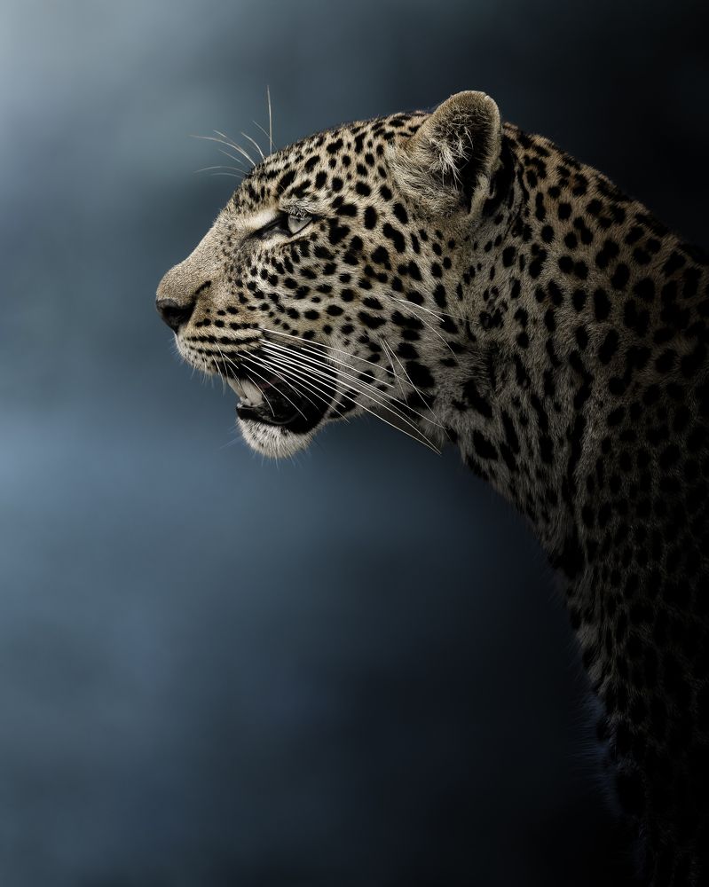 Photograph by Bharali Rajeeb