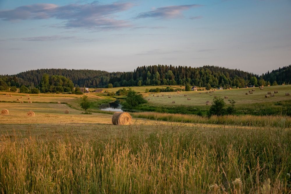 Photograph by Ирина Заворуева