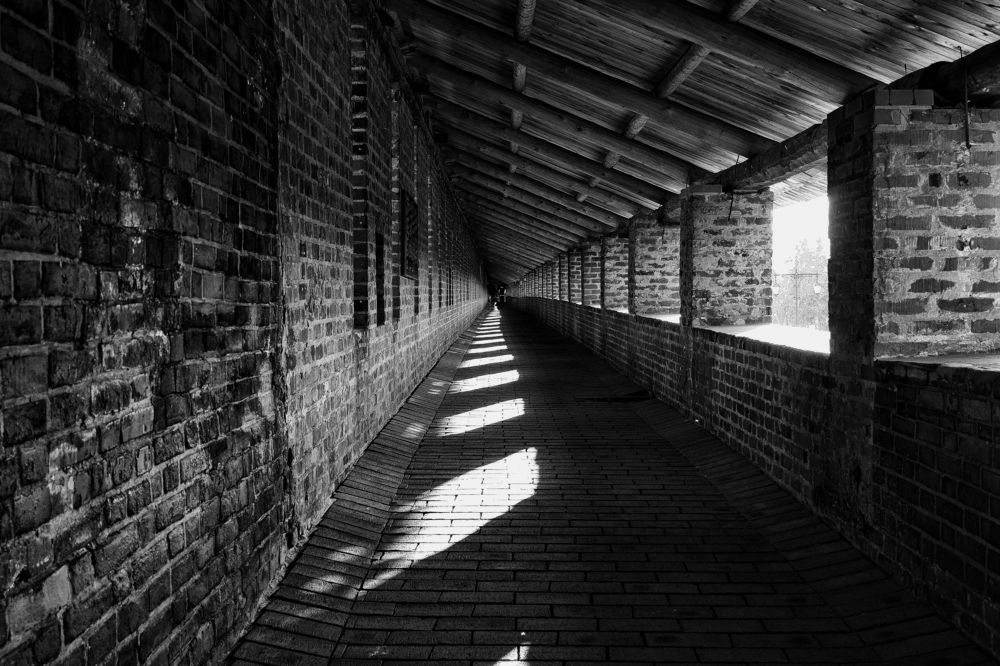 Photograph by Мария Покотилова