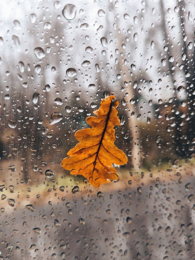 Фотография автора Ekaterina Sapezhinskaya