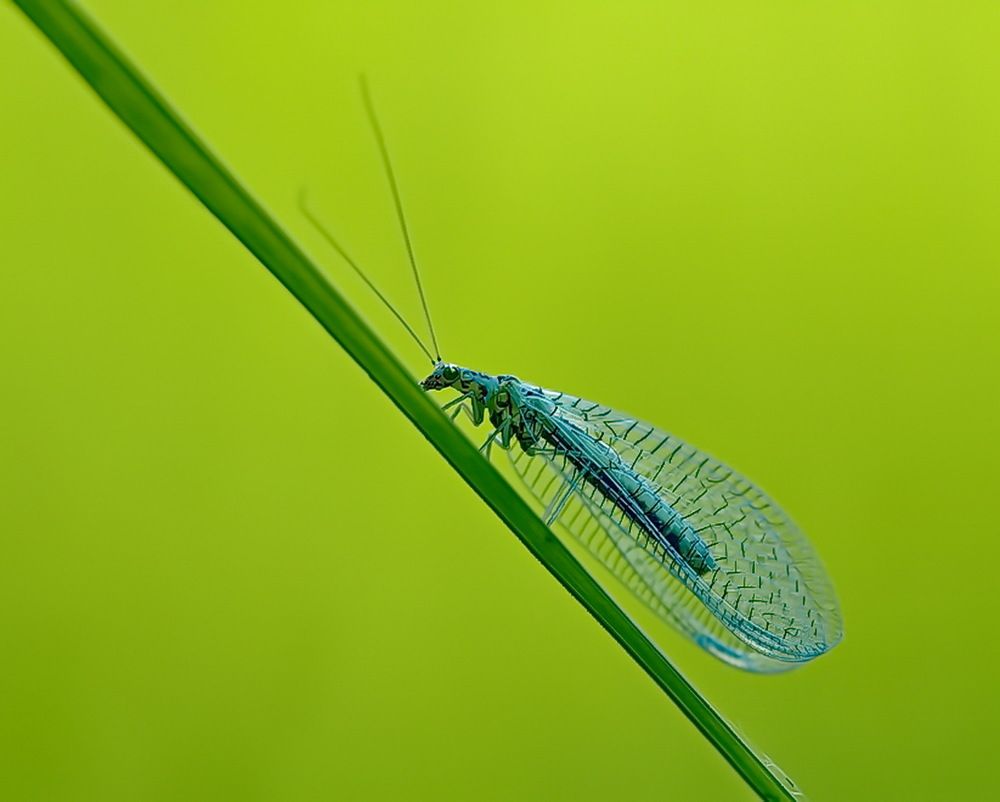 Photograph by Михаил Свиденцов