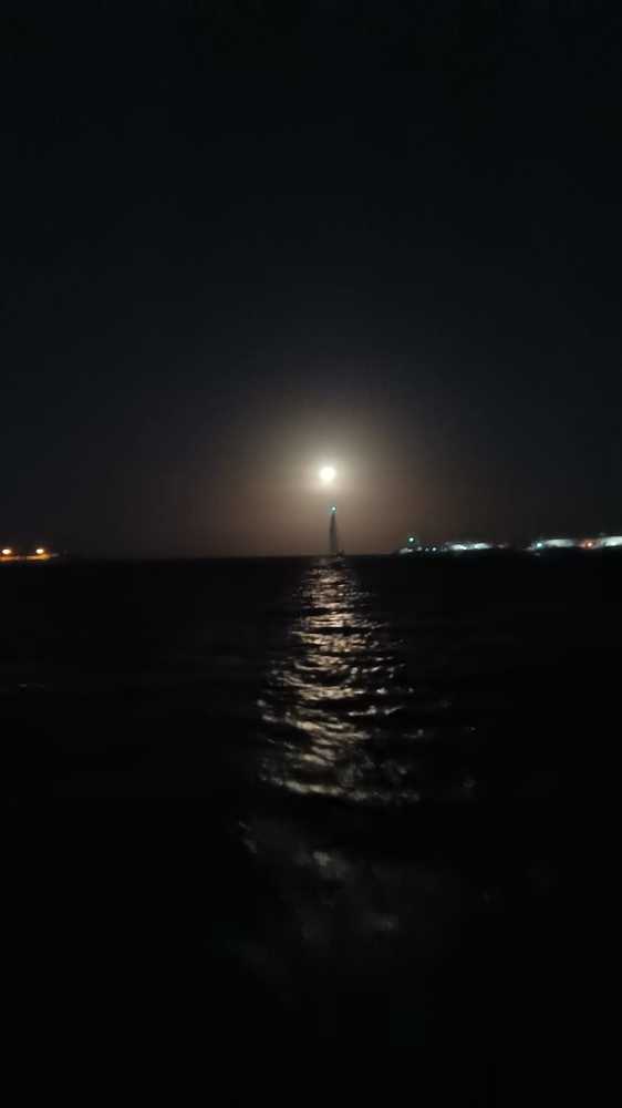 Photograph by enrique biagioli
