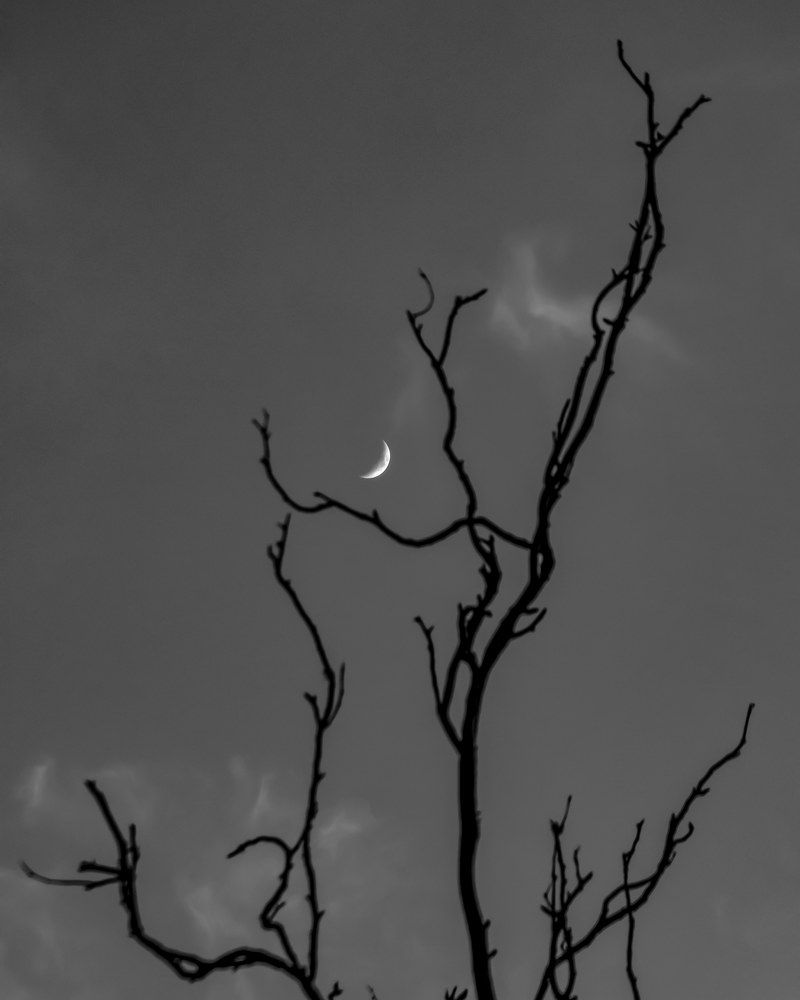 Photograph by Teresa Molinaro