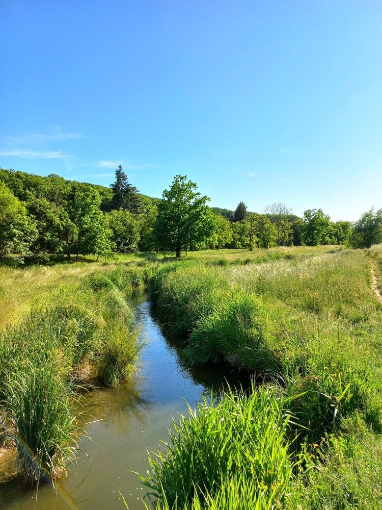 Photograph by Larissa Nayda