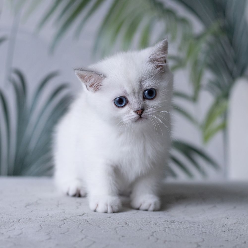 Photograph by Екатерина Каменцева