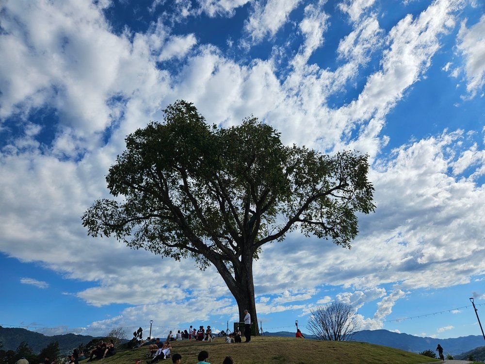 Photograph by Mauricio Mora Flores