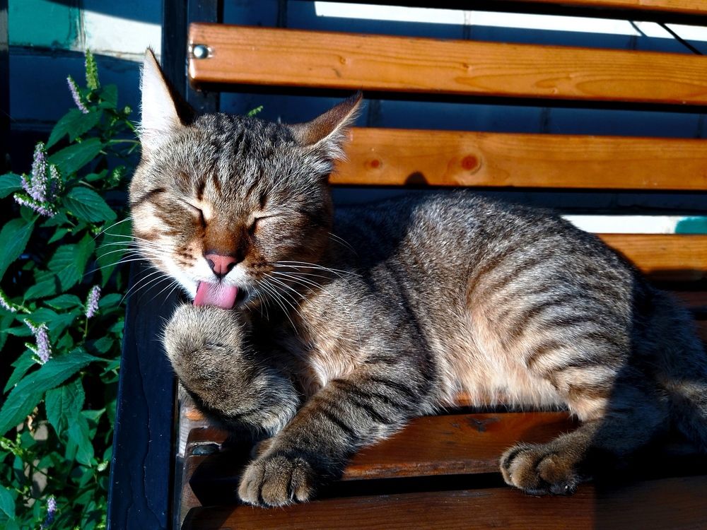 Photograph by Лариса Басова