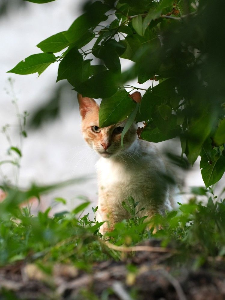 Photograph by Ольга Рачилова