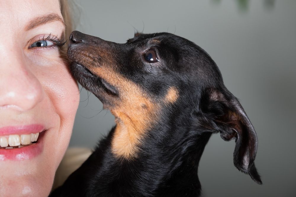 Photograph by Rasita Li