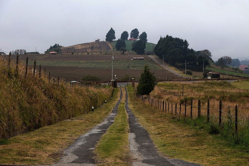 Photograph by Mauricio Mora Flores