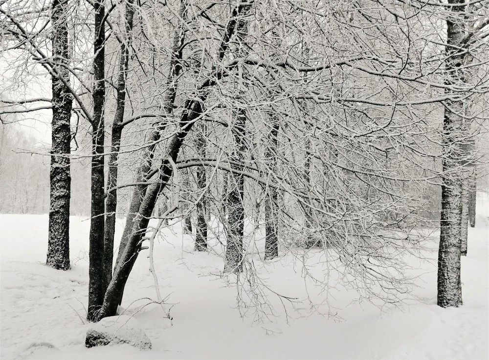 Photograph by Борис Баринов