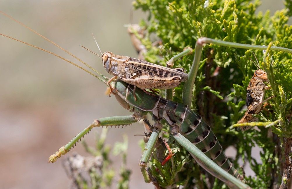 Photograph by Наталья Снеговая