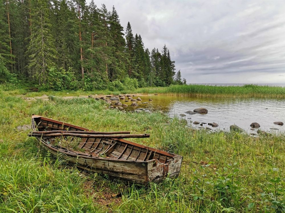 Boat on the lake shore