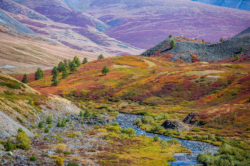 Photograph by Елена Данченко