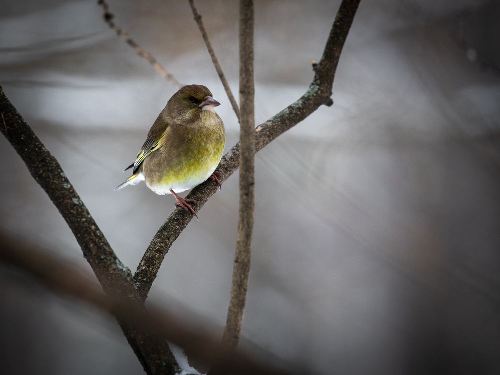 Photograph by Бравичева Анастасия