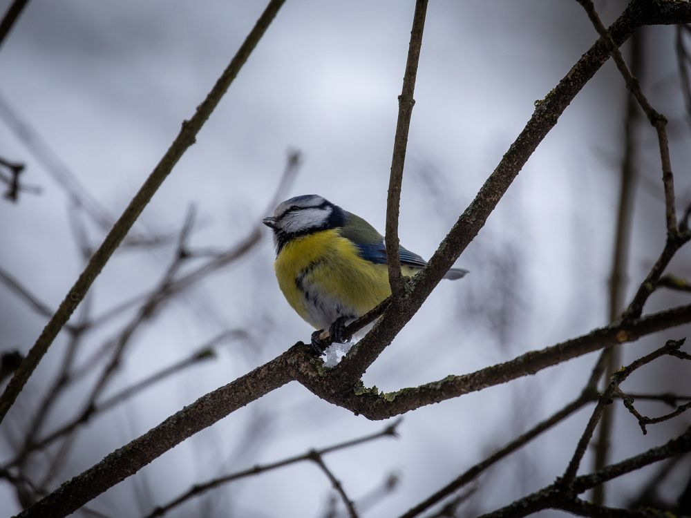 Photograph by Бравичева Анастасия