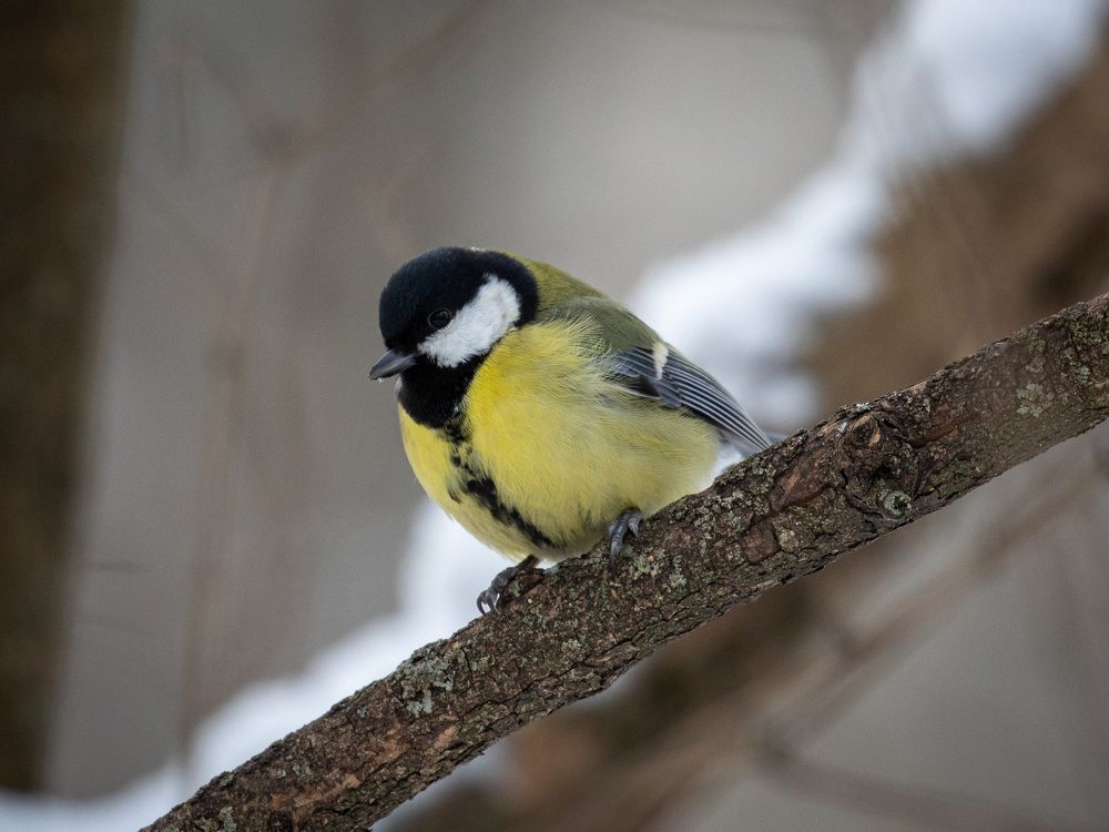 Photograph by Бравичева Анастасия