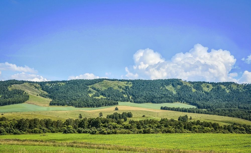 Photograph by Юрий Амосов