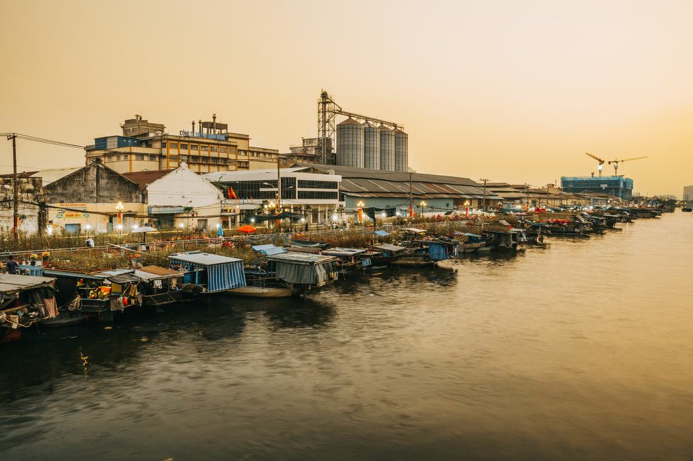 Фотография автора QUANG THOI HUA