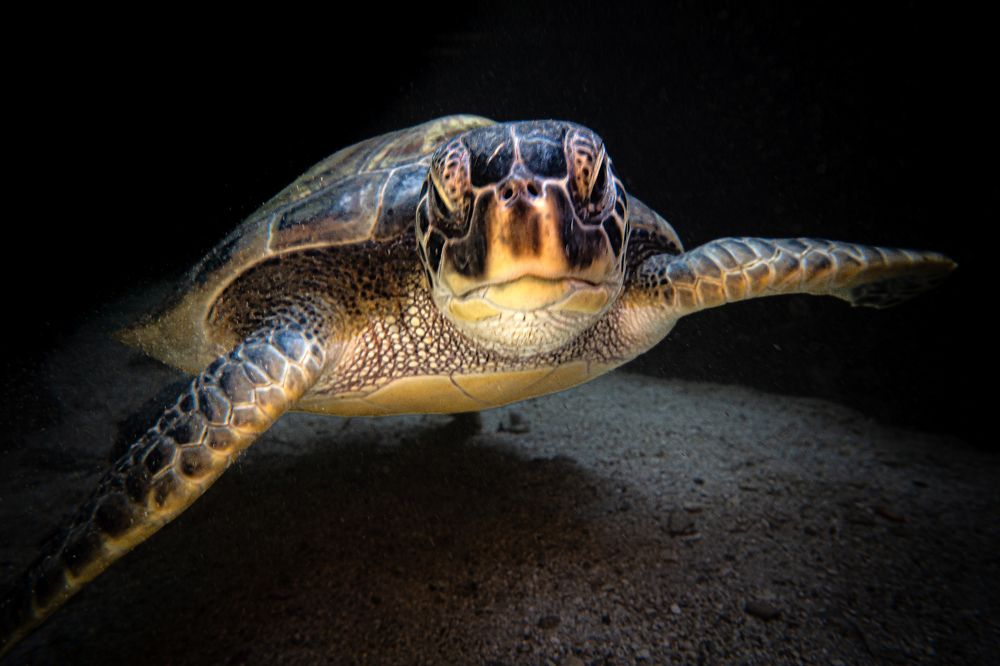 Photograph by JUAN M GUZMÁN