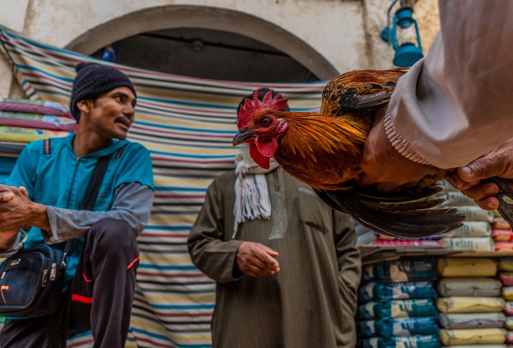 Photograph by deepesh Kuniyil