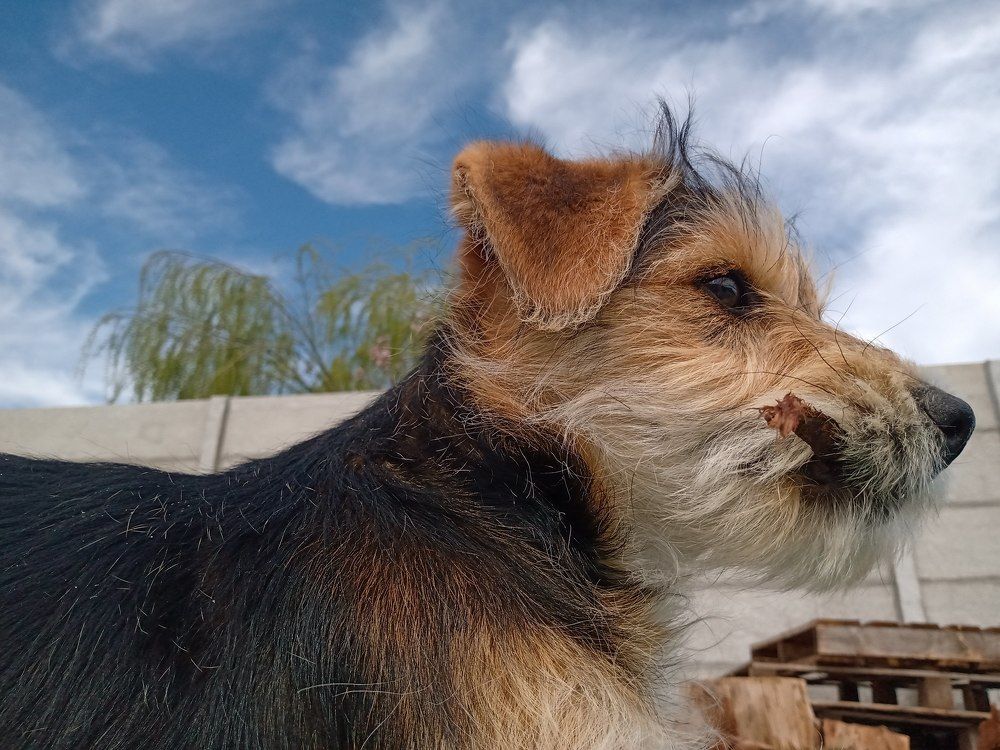 Photo #10373763