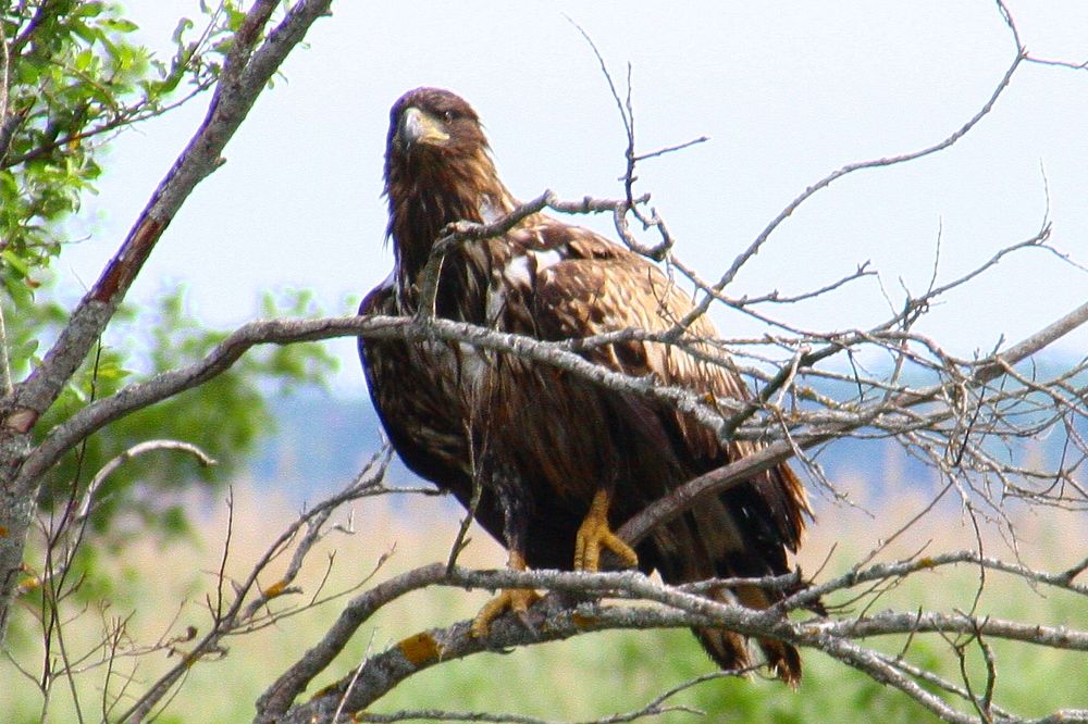 Фотография автора Jevgeni Filimonov