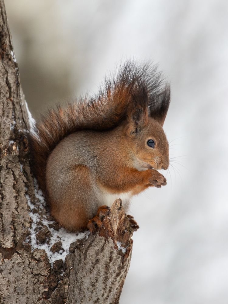 Photograph by Бравичева Анастасия