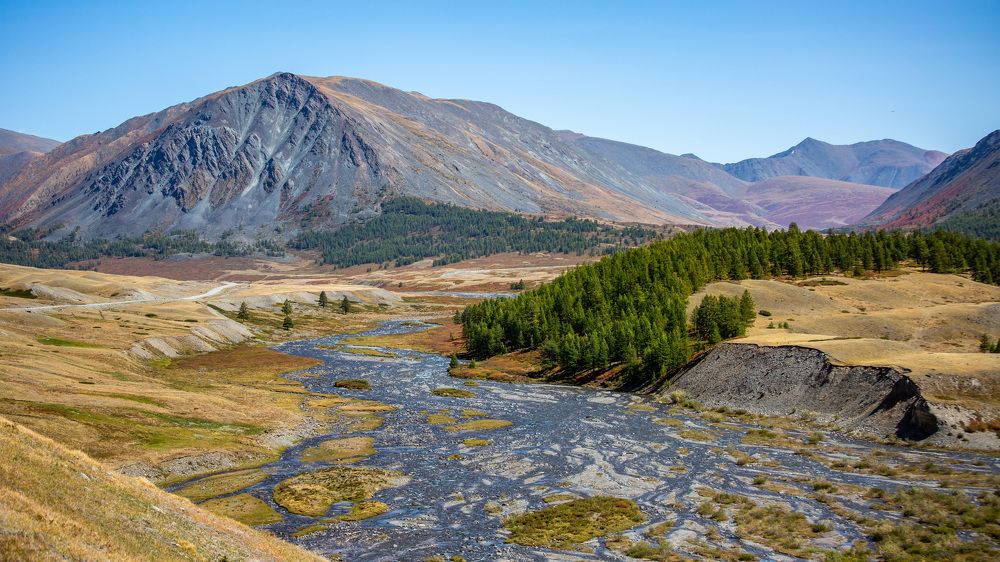 Photograph by Елена Данченко