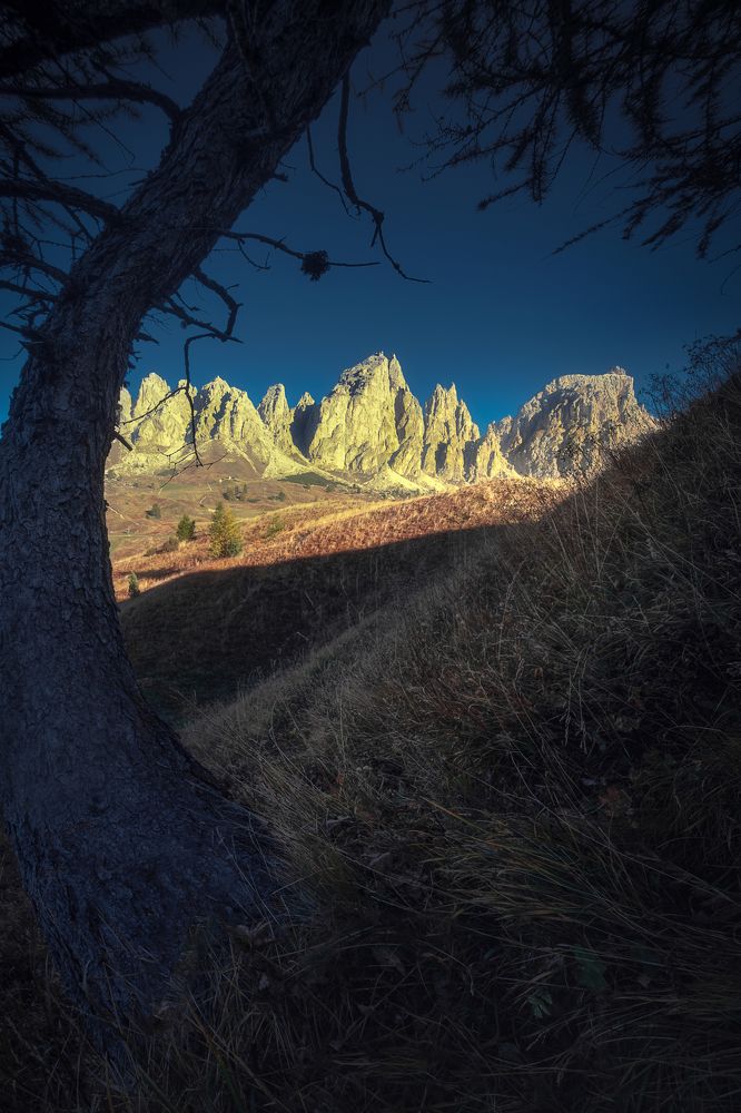 Photograph by David Ilkovic