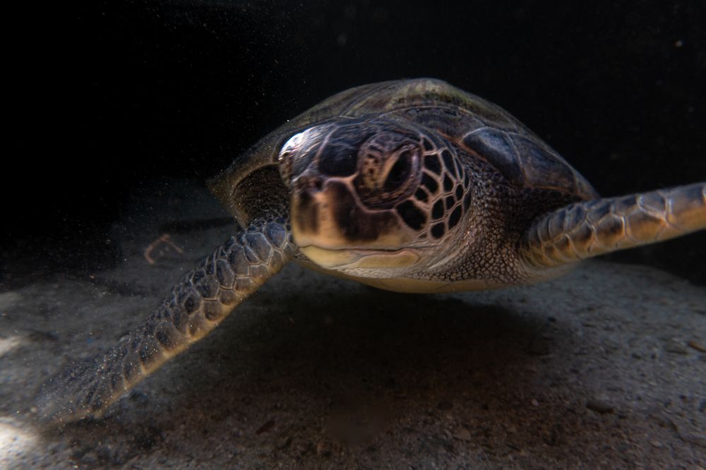 Photograph by JUAN M GUZMÁN