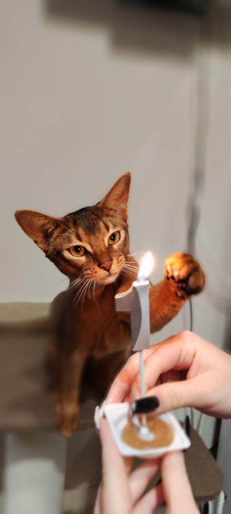 Photograph by Ольга