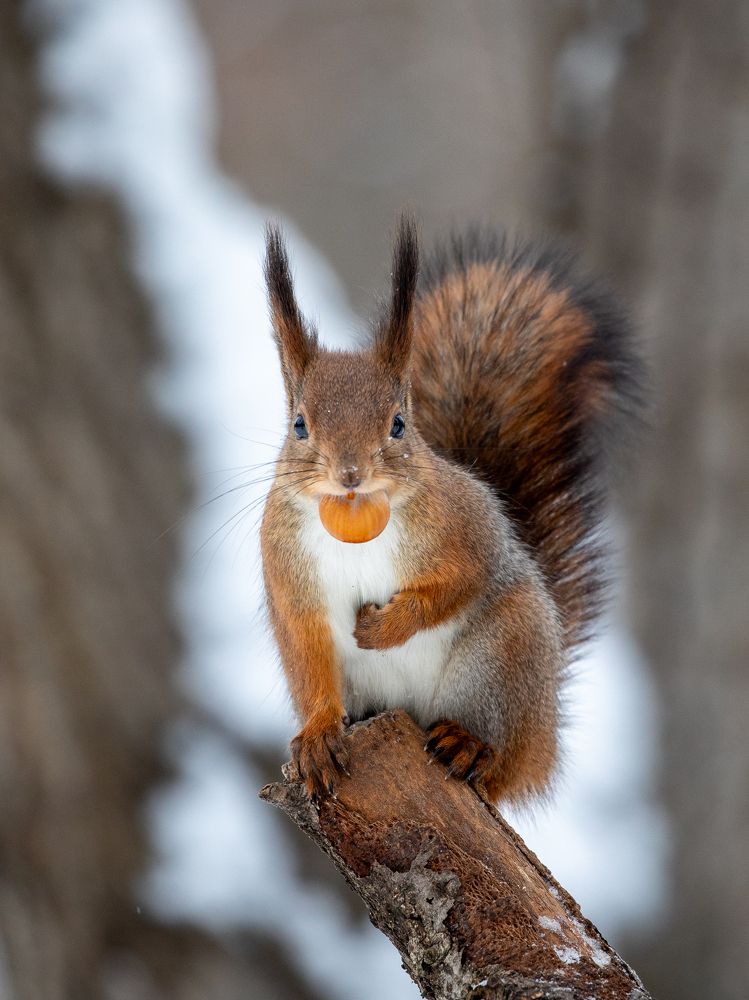Photograph by Бравичева Анастасия