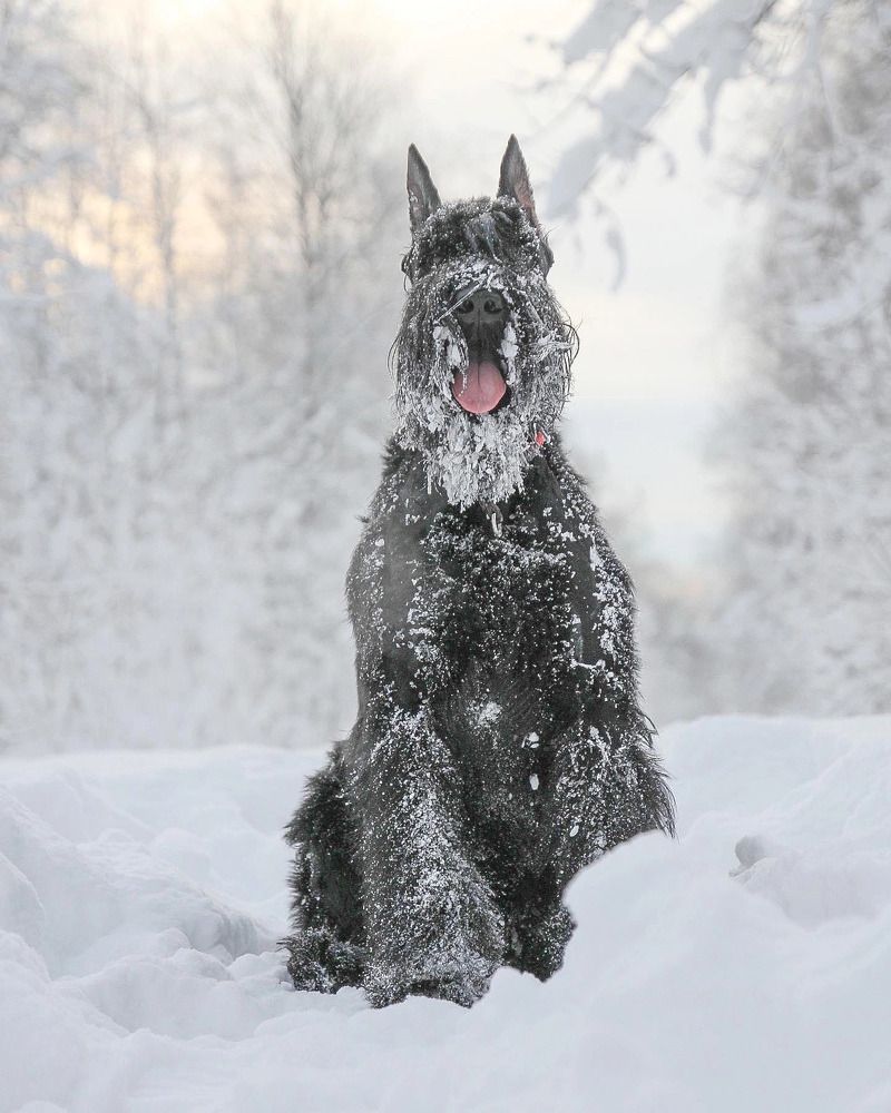 Photograph by Елена Данченко