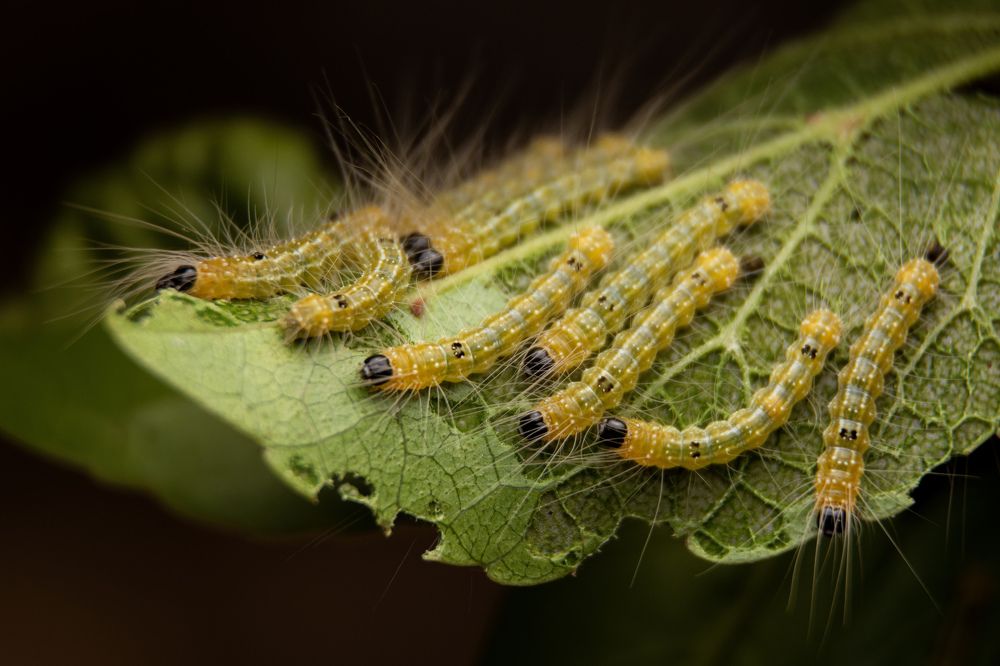 Photograph by Shehan Dondeenu