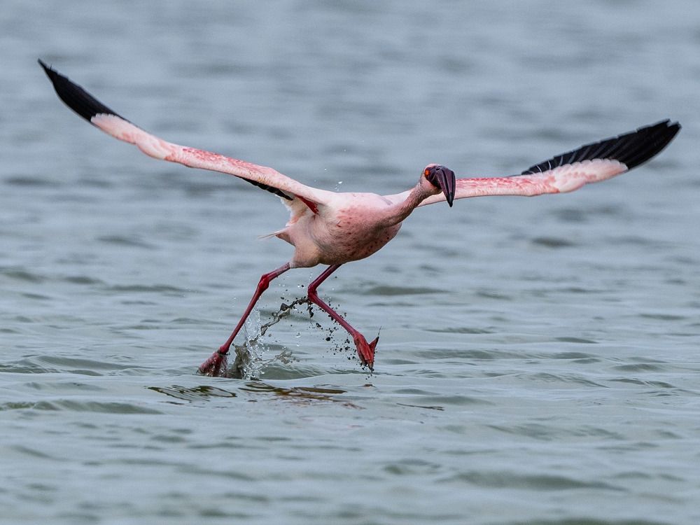 Photograph by Satirtha Ghosh