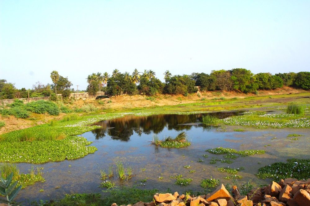 Фотография автора Nadarajan Lakshmanswamy