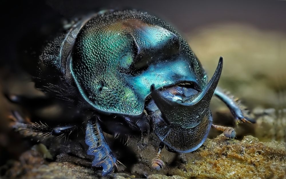 Photograph by Савчук Анатолий