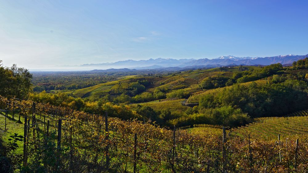 Фотография автора Lagona Nicolò