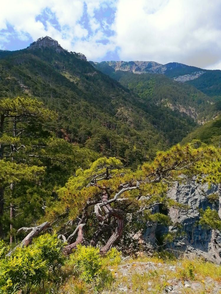 Photograph by Yulia Deimos