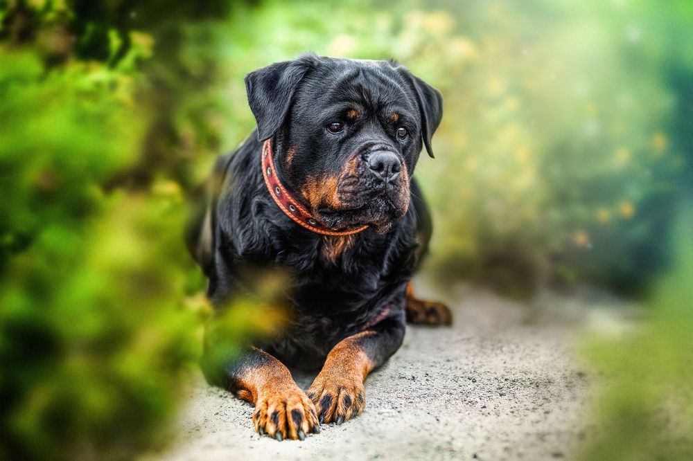 Photograph by Наталия Матвеева