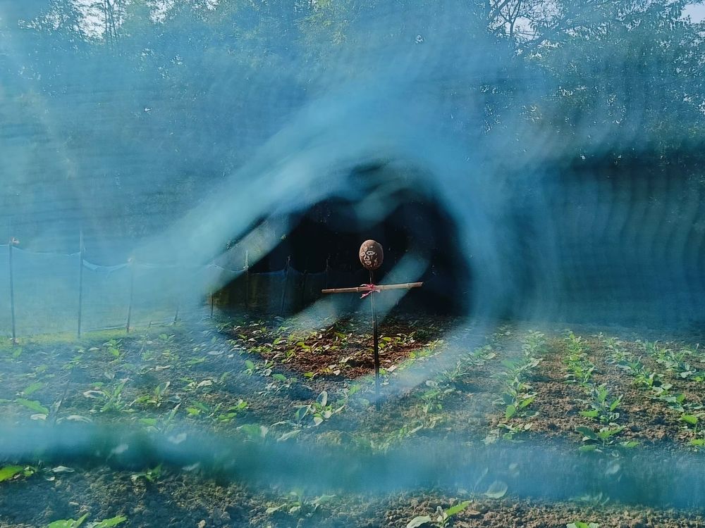 Photograph by Soumyadeep mondal