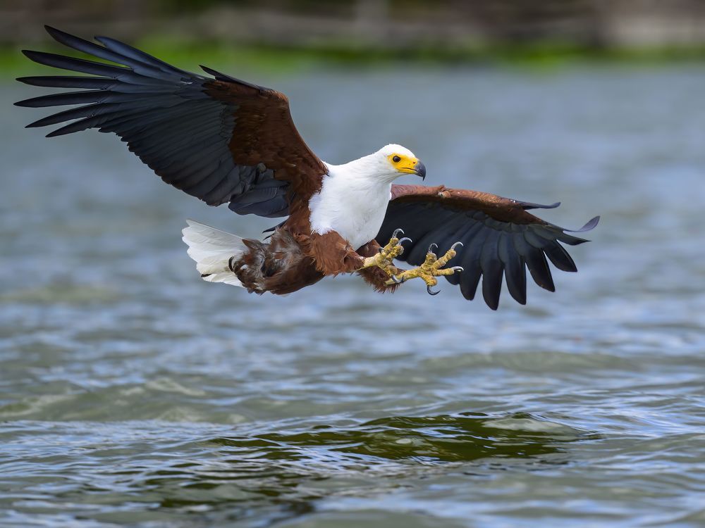 Photograph by Пупонин Сергей