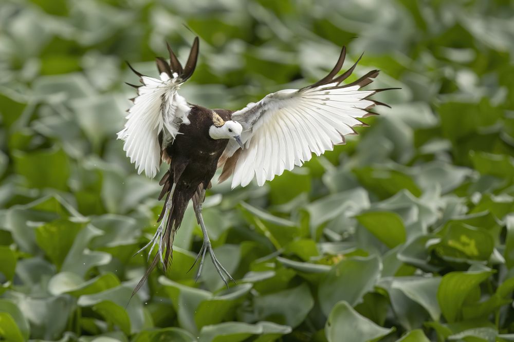 Photograph by Rimantas Stankunas